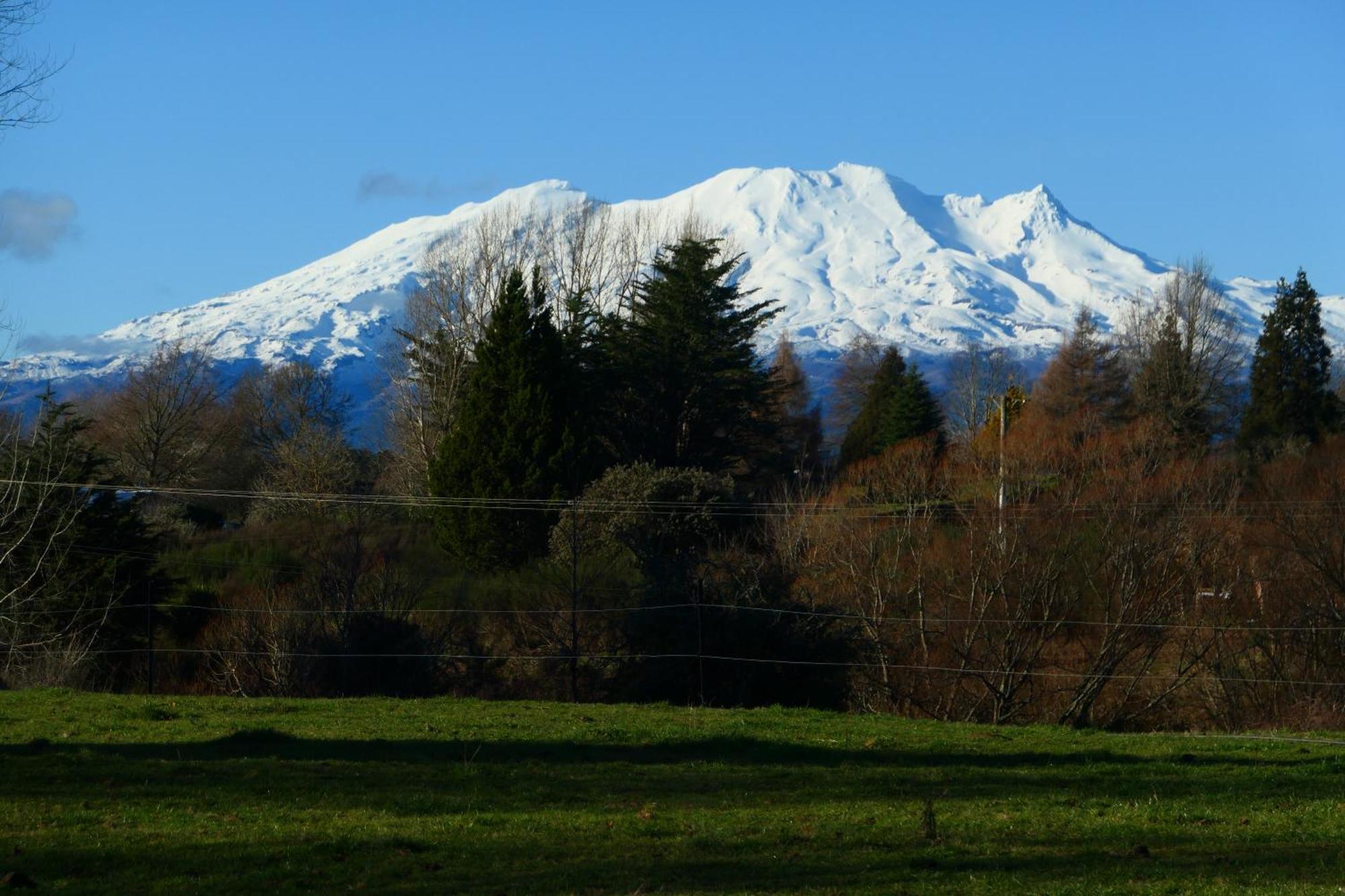 Ruapehu Log Lodge Raetihi Eksteriør bilde